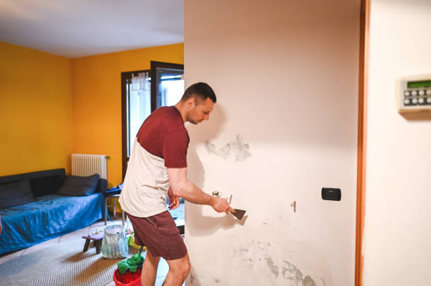 Best Mold Remediation for Specific Building Types in Saticoy, CA